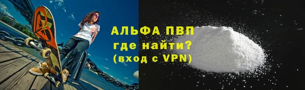 соль ск Ельня