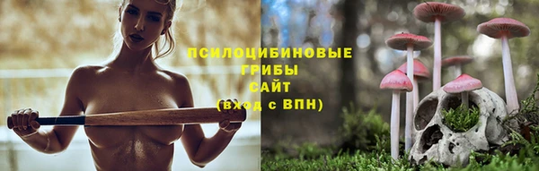 соль ск Ельня