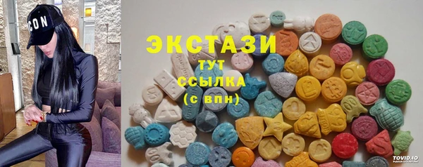 соль ск Ельня