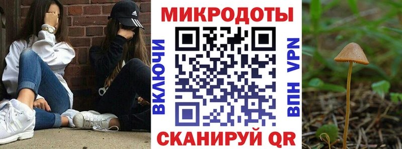 Галлюциногенные грибы прущие грибы  Сальск 